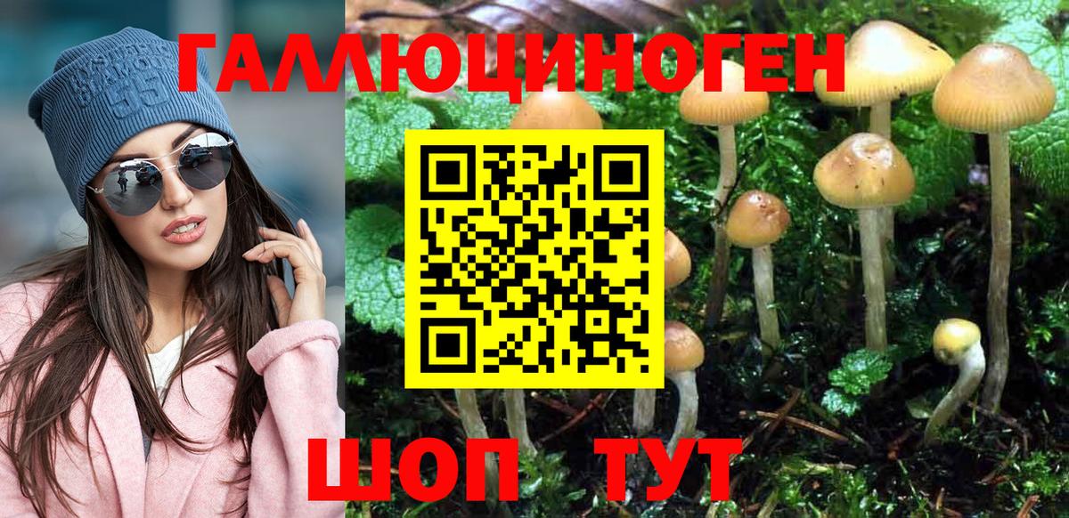 Галлюциногенные грибы GOLDEN TEACHER Гуково